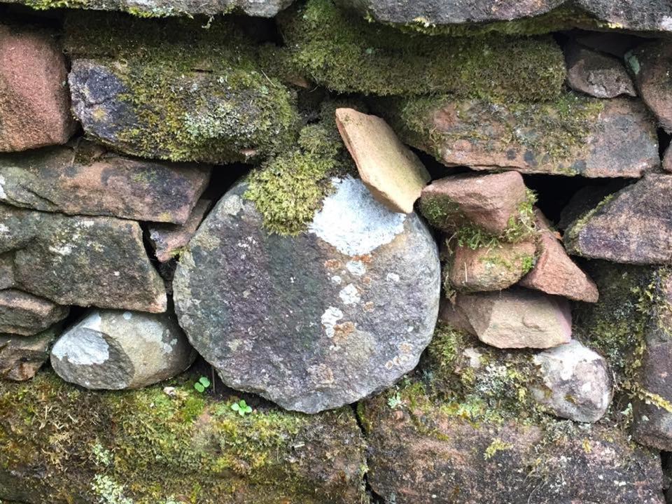Boggle Dyke Cottage Thornhill (Dumfries and Galloway) Exterior foto